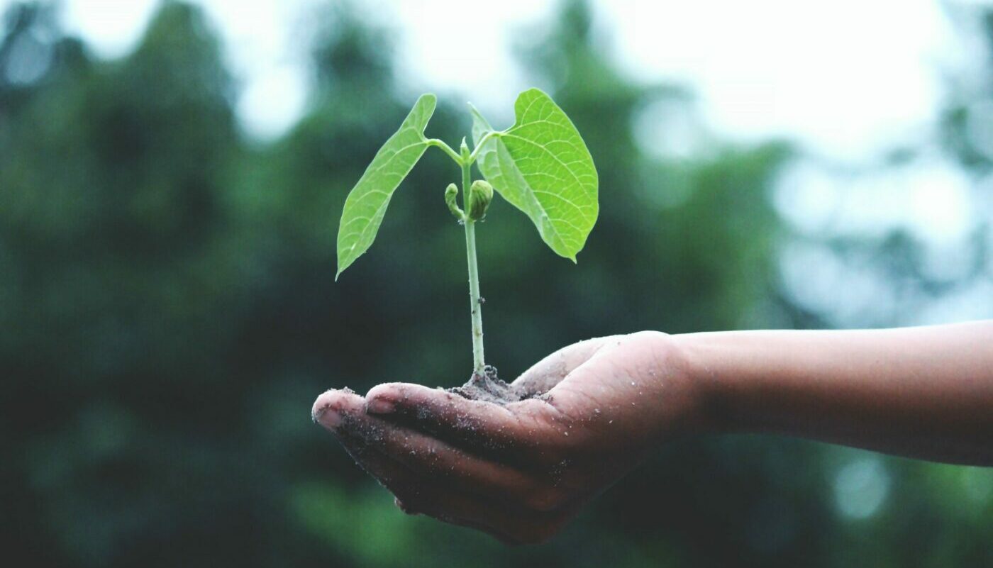 What Is Sustainable Investing and Is It For You?