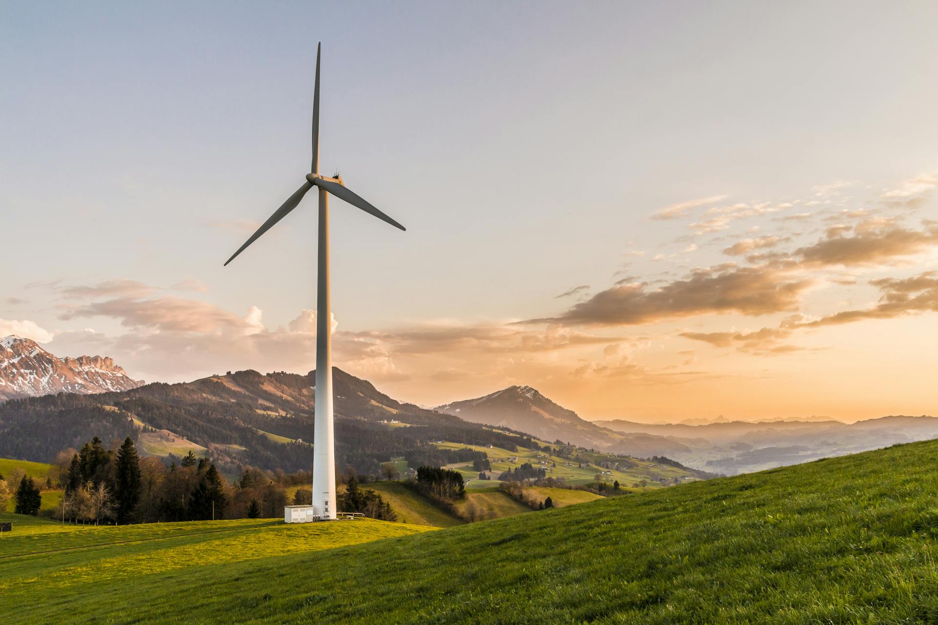 The Rise of ESG Investing in Venture Capital